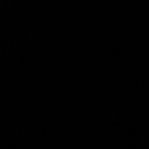 Meet your Posher, Venna